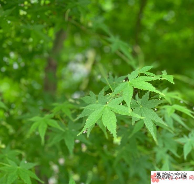 晒太阳舒服的句子说说 天气好晒太阳心情感慨