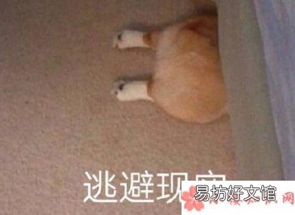 双11没钱购物的心情句子 双十一没钱买东西的说说