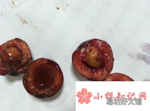 樱桃里面有虫子怎么办