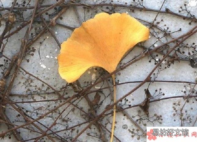 2019十二月第一天美文赏析 十二月第一天发朋友圈文案