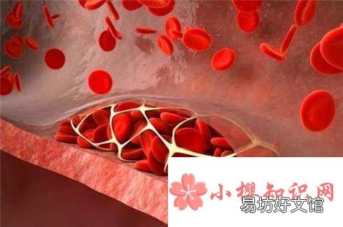 菊苣根茶适宜人群有哪些