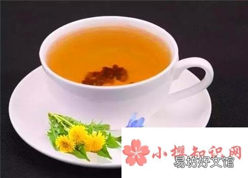 菊苣根茶适宜人群有哪些