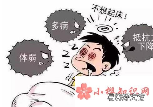 菊苣根茶适宜人群有哪些