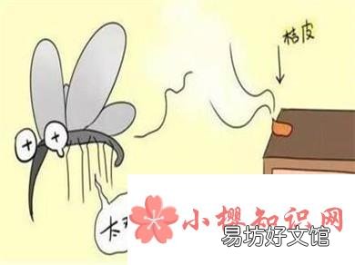 夏季防蚊的12个小妙招