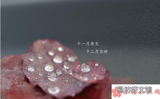 告别11月迎接十二月的朋友圈说说 十一月再见12月你好优美文案句子