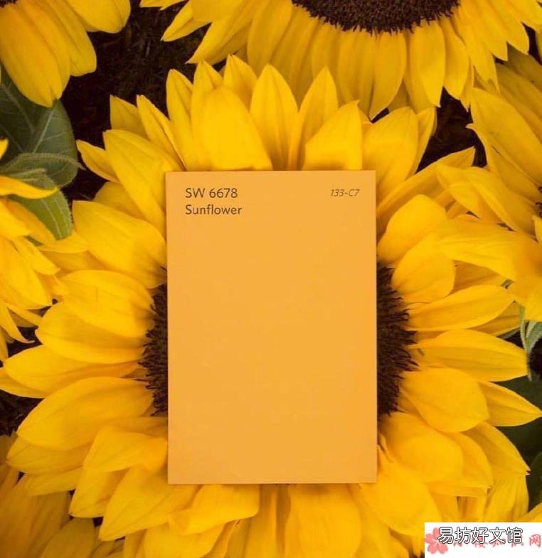 2019太难了的说说句子 2019太难了心情感慨