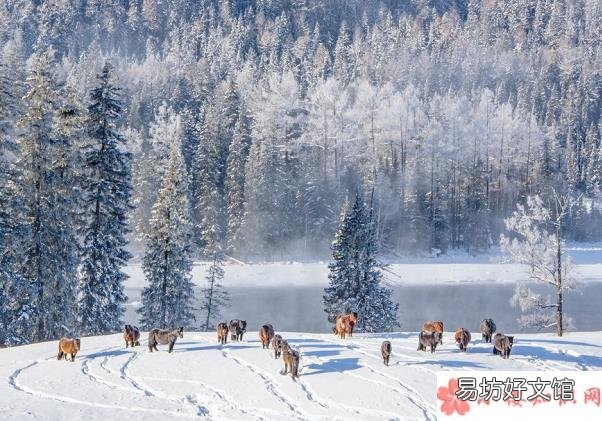 小雪节气精美祝福语 小雪早安朋友圈文案句子配图