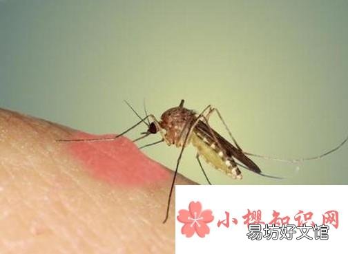 你知道藿香正气水都有哪些用处吗?我来告诉你!