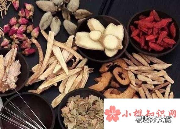 如何用电饭煲煮中药