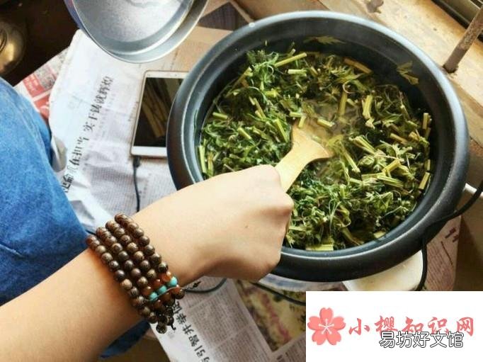 如何用电饭煲煮中药