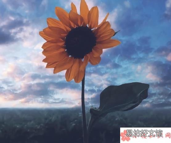 告别2019迎接2020个性句子大全 告别2019迎接2020经典文案说说