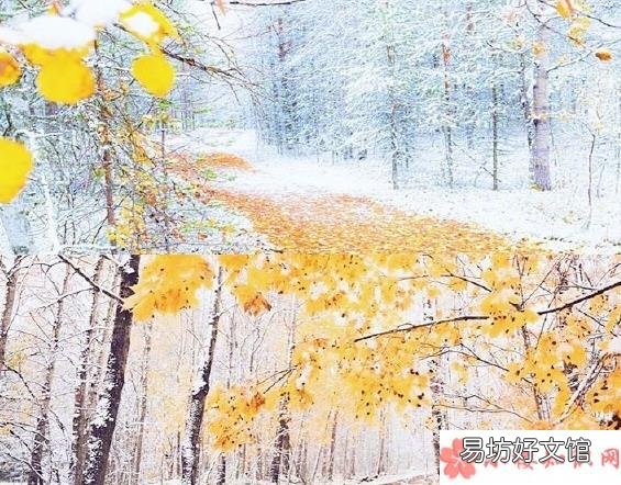 再见2019你好2020朋友圈个性说说 2019年再见2020年你好唯美图片说说