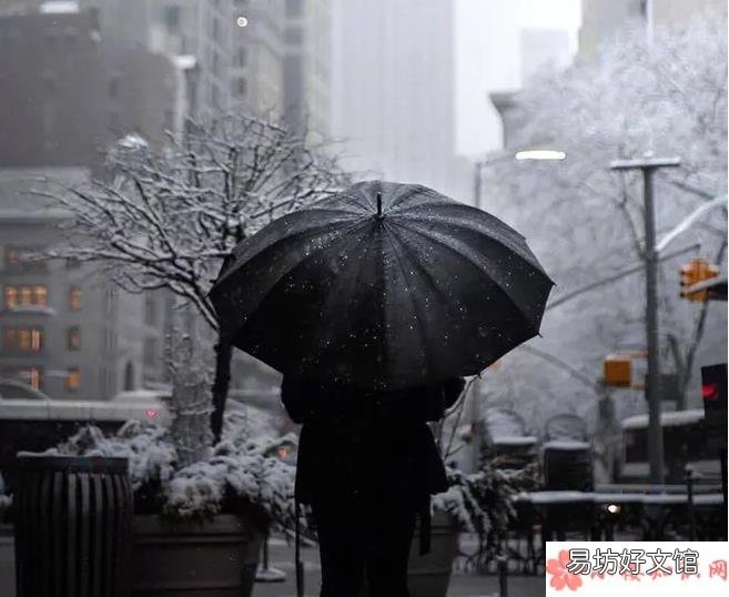 2019第一场雪心情句子 2019第一场雪心情说说