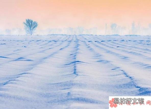 2019最后一个月的个性句子 2019年迎接最后一个月励志说说