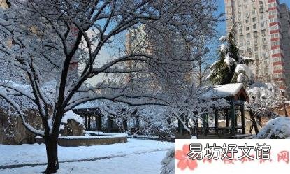 今日大雪节气感慨说说 今日大雪节气心情句子