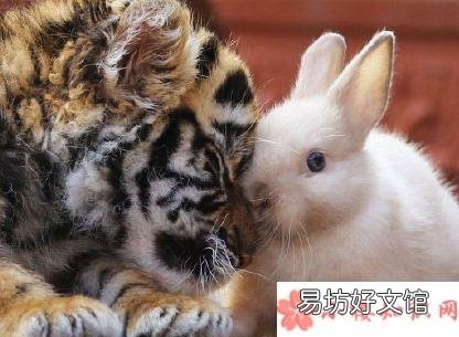 我开始代了什么梗 我开始代了什么意思