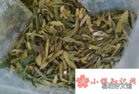 衣服沾到油，怎么辦