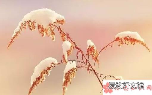 冬至快乐图片祝福语 冬至快乐唯美图片带字大全2019