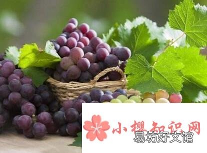 正确的清洗葡萄的方法
