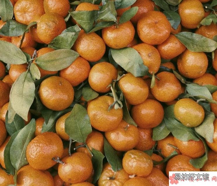 什么食物最具有年味 什么食物一吃就感觉要过年了
