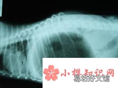 方便面能和汽水一起吃吗