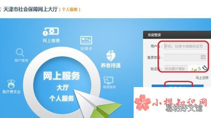 如何查询医保个人账户余额