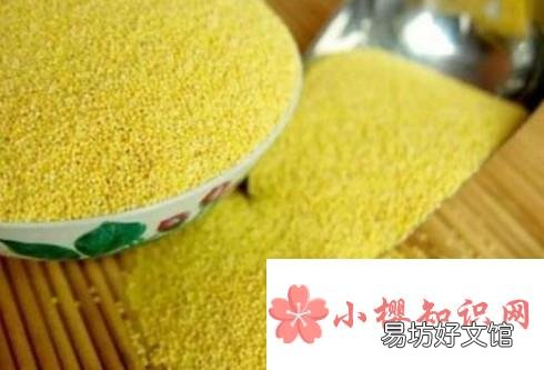 什么东西吃了会长胖
