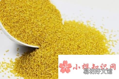黄小米有哪些功效