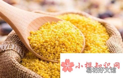 黄小米有哪些功效