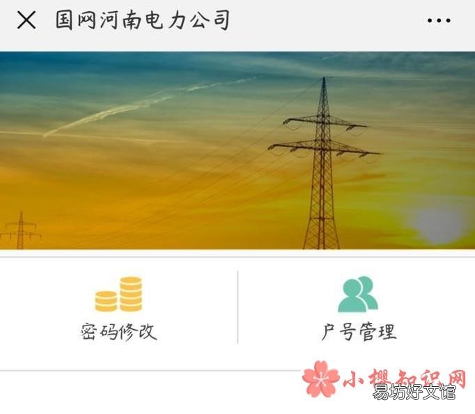 在网上手机微信上怎么查询每月电费用电量河南省