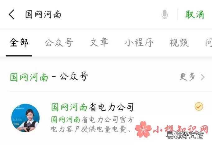 在网上手机微信上怎么查询每月电费用电量河南省