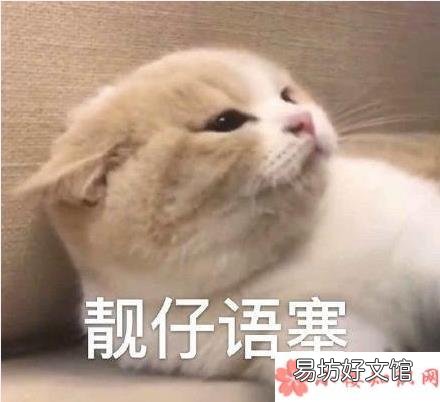 第一次约会时的心理过程 第一次约会时的心理变化有哪些