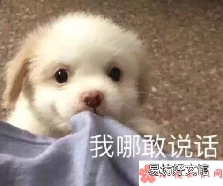 第一次约会时的心理过程 第一次约会时的心理变化有哪些