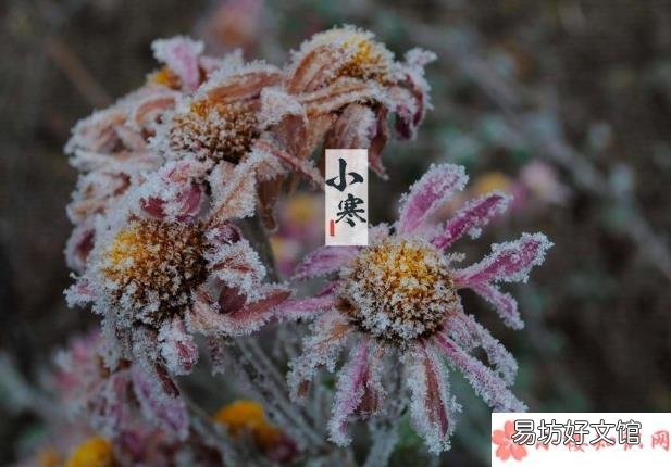 今日小寒早安心语发朋友圈 2020小寒到了早安说说文案