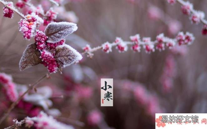 今日小寒早安心语发朋友圈 2020小寒到了早安说说文案