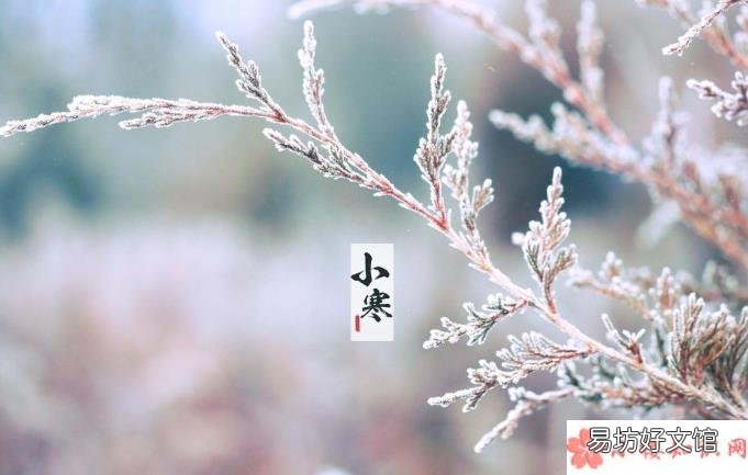 今日小寒早安心语发朋友圈 2020小寒到了早安说说文案