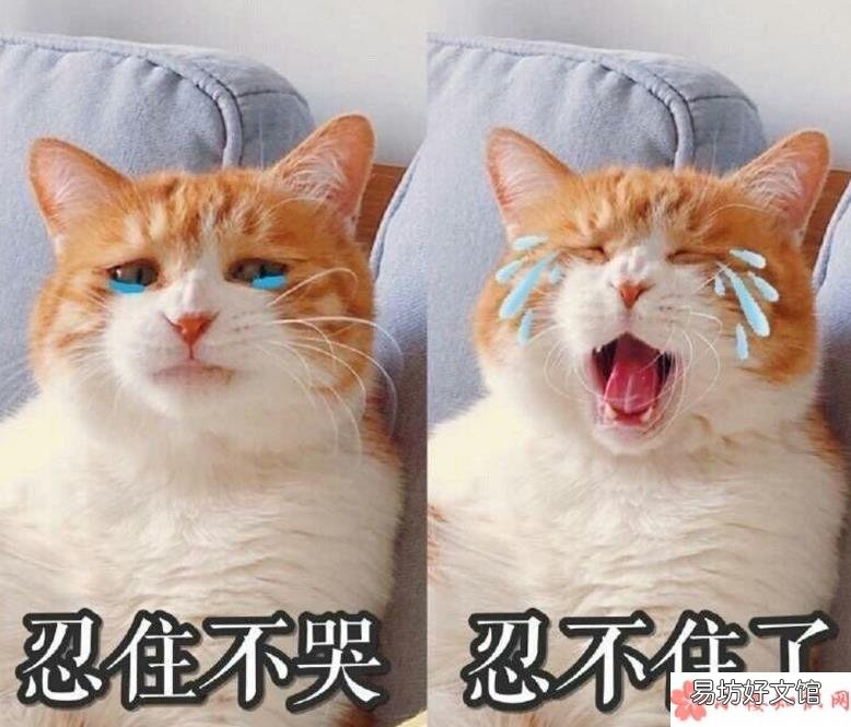 想一觉醒来发现自己坐在高中感慨 如果一觉醒来回到了高中会做什么样的事情