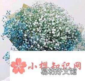 当下流行的撩妹金句