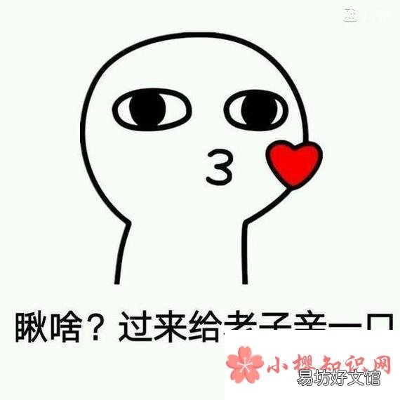 当下流行的撩妹金句