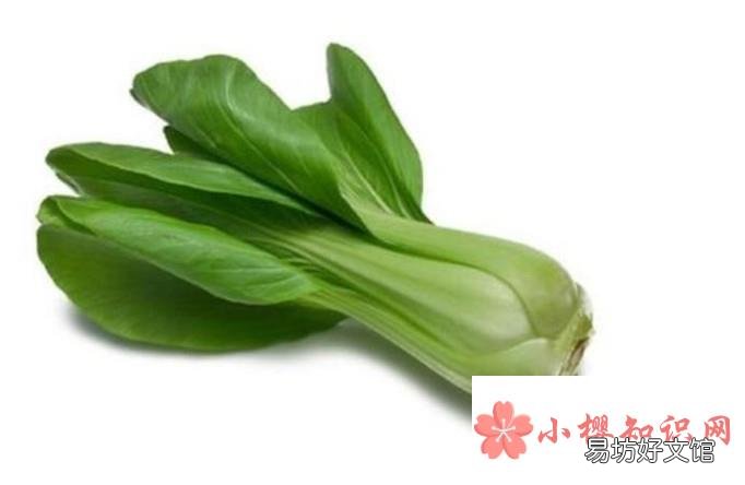 教你4招轻松应对“节后综合症”