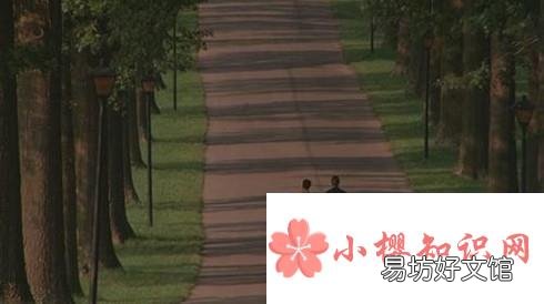 为什么将自闭症患者成为雨人