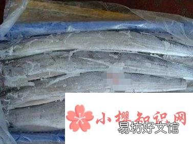 死鱼怎样保鲜保质