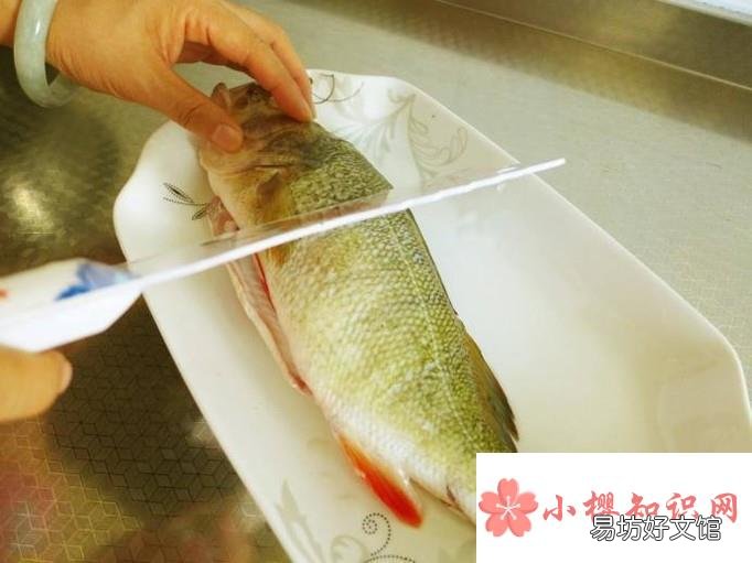 死鱼怎样保鲜保质