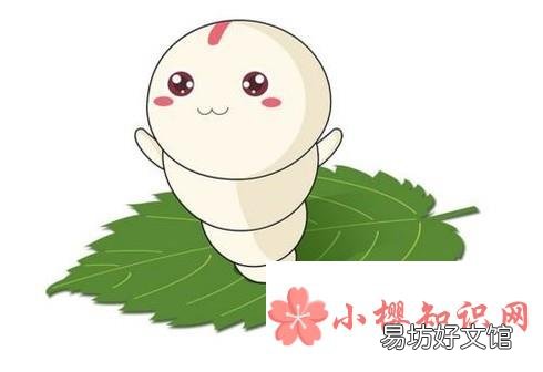 怎么养蚕宝宝?
