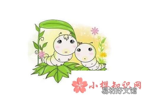 怎么养蚕宝宝?
