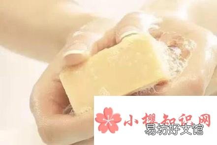 如何驱赶蚊子:让蚊子灭绝的方法