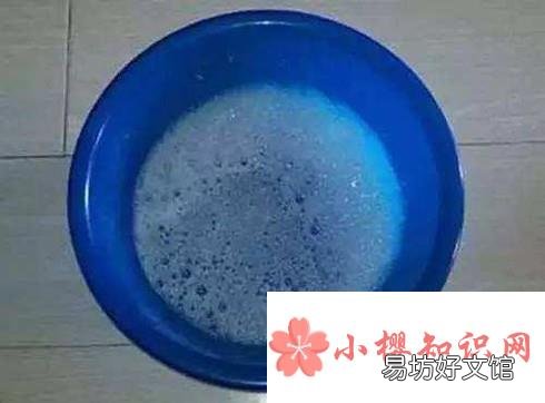 如何驱赶蚊子:让蚊子灭绝的方法