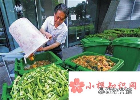 垃圾分类小常识