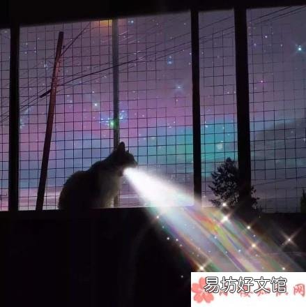 朋友圈背景一束光图片大全高清 2020朋友圈背景一束光无水印图片合集