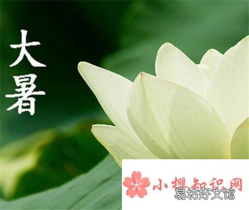 大暑吃什么补品好?